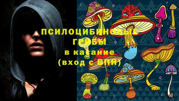COCAINE Вяземский