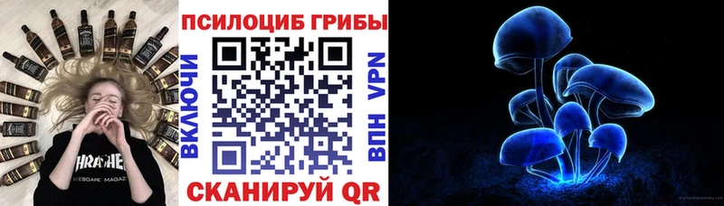 Купить  Пугачёв  Галлюциногенные грибы Magic Shrooms 